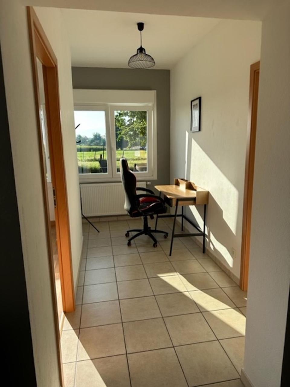 Le Nid Du Moulin Apartment Batzendorf Exterior foto